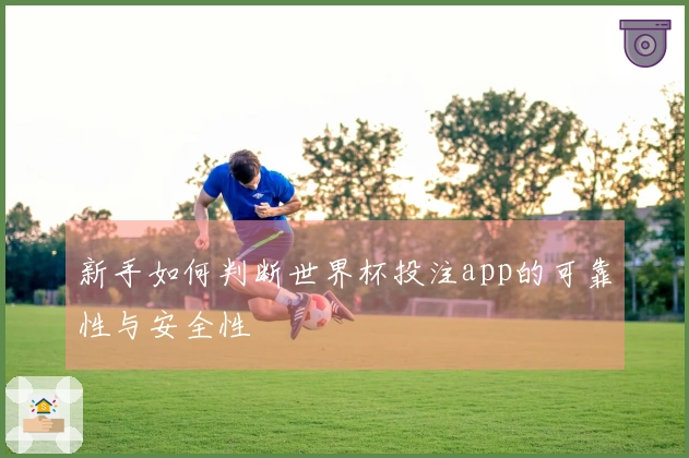 新手如何判断世界杯投注app的可靠性与安全性