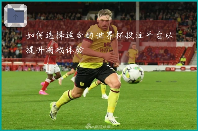 如何选择适合的世界杯投注平台以提升游戏体验