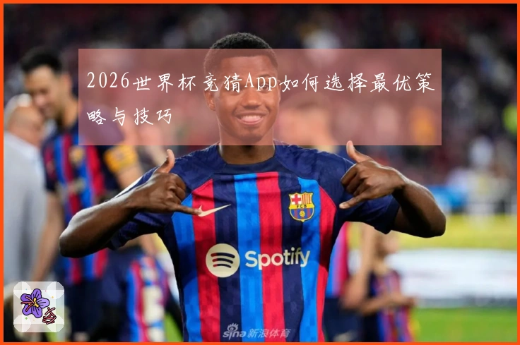 2026世界杯竞猜App如何选择最优策略与技巧
