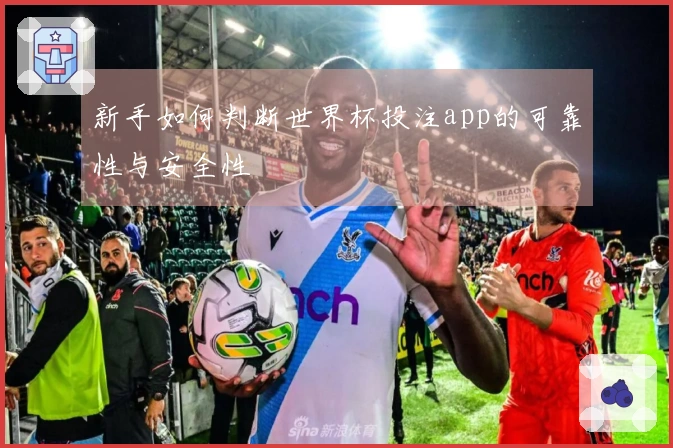 新手如何判断世界杯投注app的可靠性与安全性