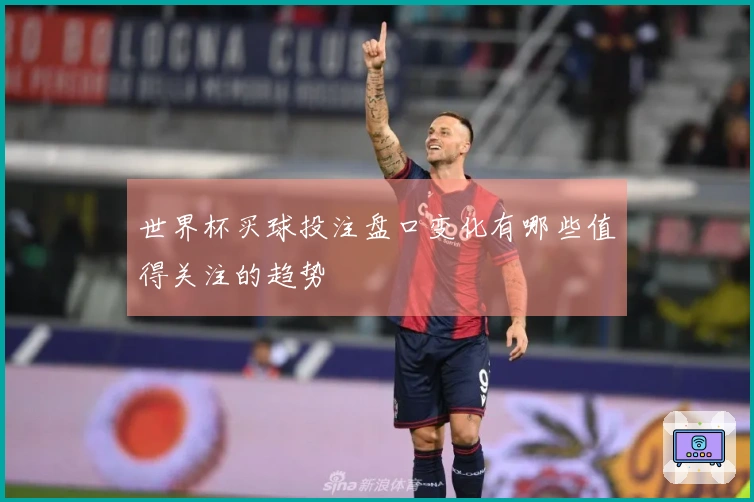 世界杯买球投注盘口变化有哪些值得关注的趋势