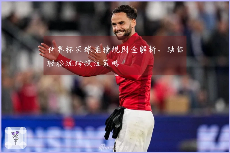 世界杯买球竞猜规则全解析，助你轻松玩转投注策略