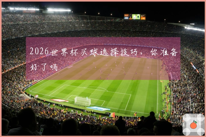 2026世界杯买球选择技巧，你准备好了吗