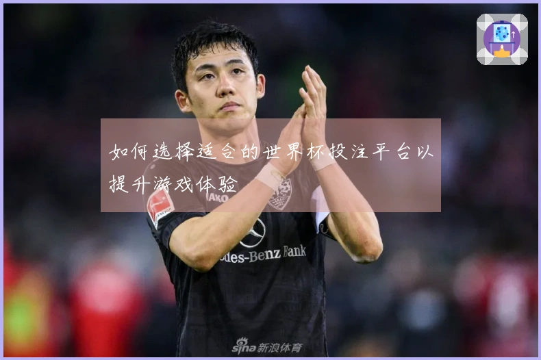 如何选择适合的世界杯投注平台以提升游戏体验