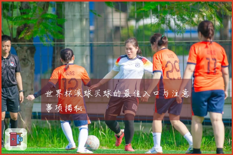 世界杯滚球买球的最佳入口与注意事项揭秘