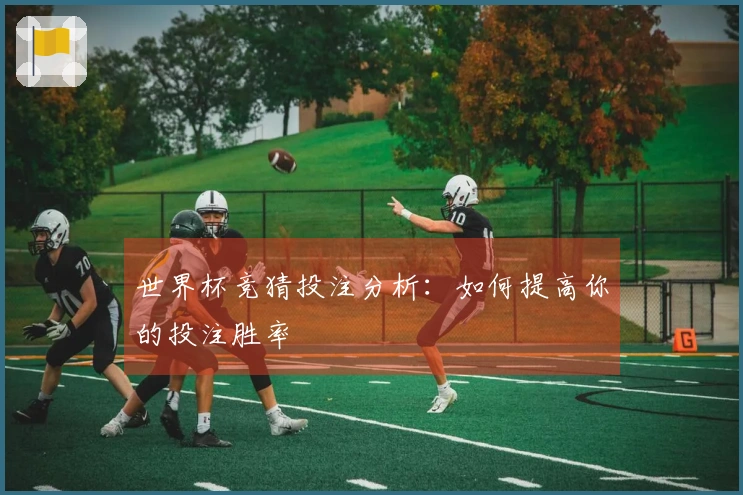 世界杯竞猜投注分析：如何提高你的投注胜率