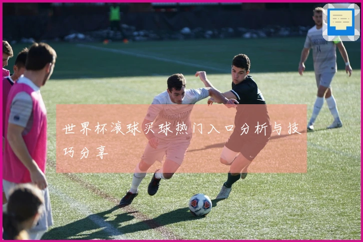 世界杯滚球买球热门入口分析与技巧分享