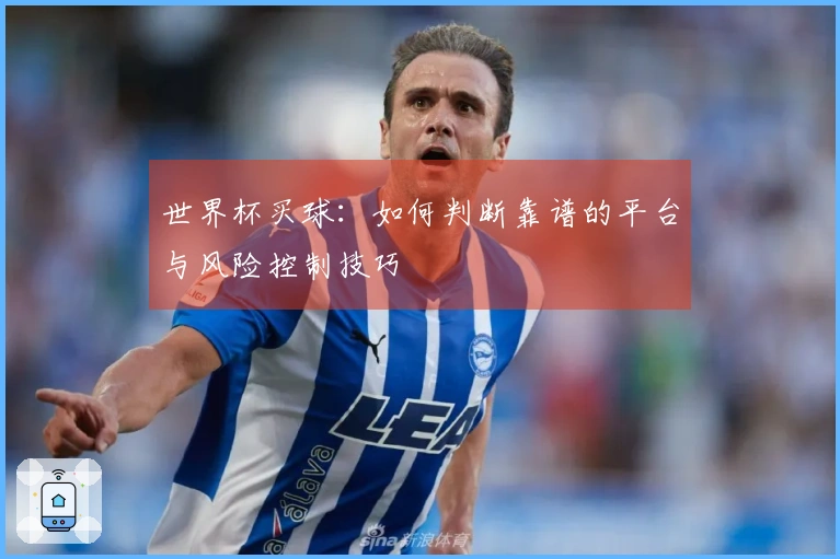 世界杯买球：如何判断靠谱的平台与风险控制技巧