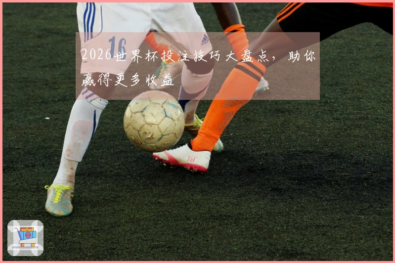 2026世界杯投注技巧大盘点，助你赢得更多收益