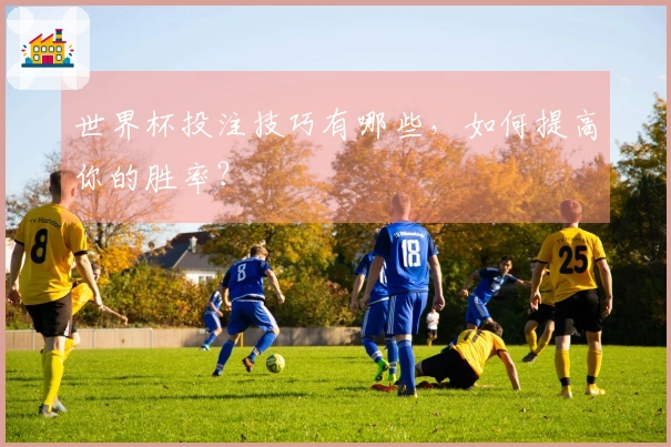 世界杯投注技巧有哪些，如何提高你的胜率？
