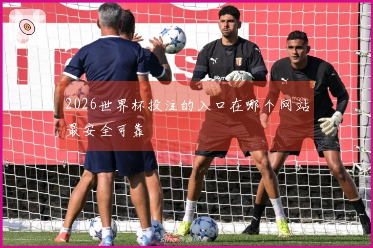 2026世界杯投注的入口在哪个网站最安全可靠
