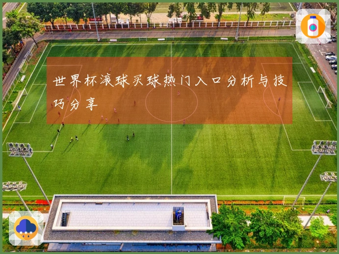 世界杯滚球买球热门入口分析与技巧分享