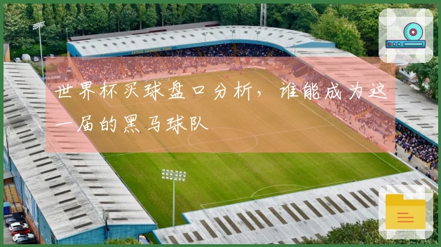 世界杯买球盘口分析，谁能成为这一届的黑马球队