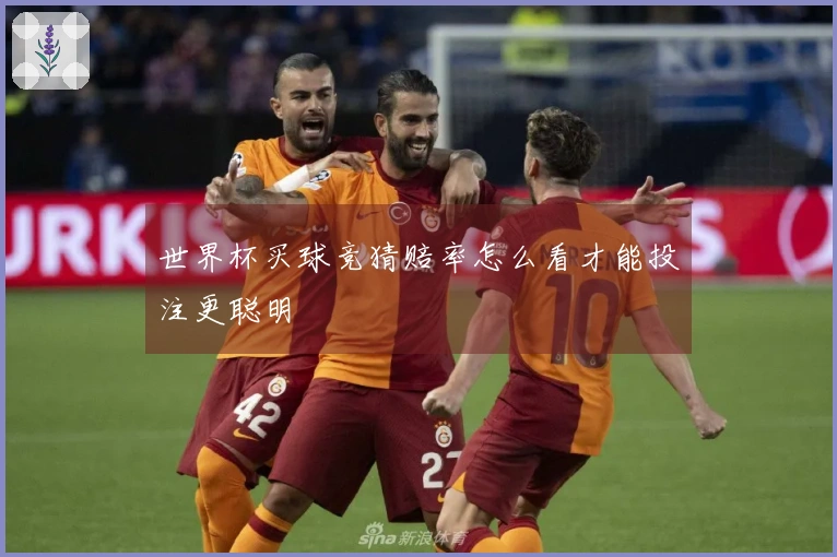 世界杯买球竞猜赔率怎么看才能投注更聪明