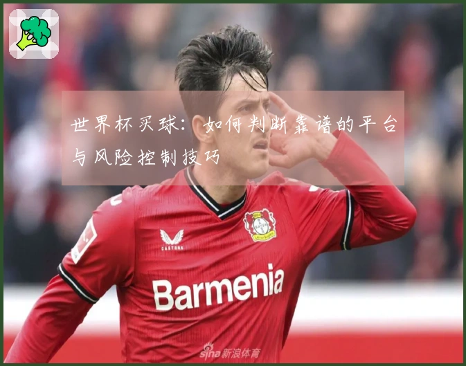 世界杯买球：如何判断靠谱的平台与风险控制技巧