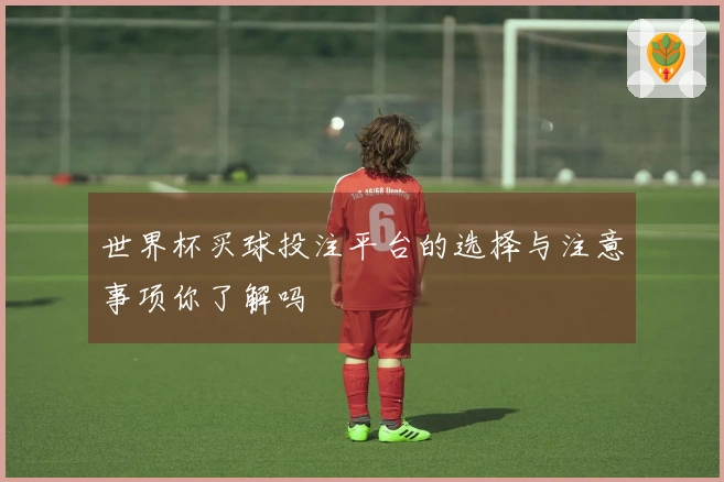 世界杯买球投注平台的选择与注意事项你了解吗